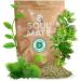 Soul Mate Org nica Mega Menta 1 kg (2x500g) - Yerba Mate Bio Saveur Menthe & Menthol Stimulant Naturel Id al Chaud ou en Terer  - Buy Online on GoSupps.com