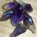 Amethyst Rough Stone The raw Specimen of Natural Amethyst Quartz Crystal tip Healed (Size : 100g) - Buy Online on GoSupps.com