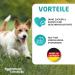 Eggersmann Carnebello - Wet dog food with lamb (6 x 800 g) - Complete food for adult dogs - Tasty and premium wet food for dogs - Buy Online on GoSupps.com