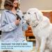 NANYANG Pet de-Shedding Brush - Double Row Stainless Steel Grooming Tool for Dogs, Cats, Rabbits - Reduces Shedding & Removes Undercoat - Blue - Buy Online on GoSupps.com