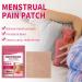 24 Piece Menstrual Pain Relief Heat Pads | 12-Hour Herbal Heating Plasters for Menstruation Comfort - Buy Online on GoSupps.com