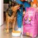 Edgard & Cooper Dog Food (Venison & Duck 12kg) Grain Free Fresh Meat & Quality Protein Real Ingredients for Dogs Hypoallergenic No Added Sugars - Buy Online on GoSupps.com