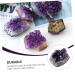 LIFKOME 2pcs Amethyst Cluster Rock Chip Rough Crystal Specimen Geode Natural Crystal Decoration Energy Druze - Buy Online on GoSupps.com
