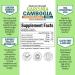 BioSchwartz Garcinia Cambogia 1500 mg - 90 Veggie Caps for Weight Loss & Appetite Control - Buy Online on GoSupps.com