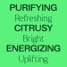 Plant Therapy Lime Steam Distilled Essential Oil 30 mL (1 oz) 100% Pure Undiluted Fresh Scent Mood Boosting Immune Support Lime Steam Distilled 1 Fl Oz (Pack of 1) - Buy Online on GoSupps.com