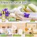 Hyppry Natural Essential Oils for Home Diffuser - 12 x 5ml Set with Tea Tree, Lavender, Peppermint, and More - Buy Online on GoSupps.com
