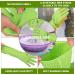 COMNICO 15 Extra Long Rubber Cleaning Gloves - Waterproof, Non-Slip, Reusable for Kitchen & Bathroom - Grippy Latex Supplies - 1 Pair (Green) - Buy Online on GoSupps.com