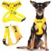Dexil Limited Adopt ME (I Need A New Home) Yellow Color Coded Non-Pull Front and Back D Ring Padded and Waterproof Vest Dog Harness Prevents Accidents by Warning Others of Your Dog in Advance Extra Small Harness 13-19 Inch Chest/Girth