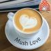 Mush Love Super 7 Mushroom Cappuccino coffee fortified with Fantastic Fungi Super 7 Mushroom Extract Blend (50 Grams) 50 g (Pack of 1) - Buy Online on GoSupps.com
