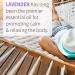 Garden of Life Lavender Essential Oil 30ml - Organic, Pure, Non-GMO for Aromatherapy & Skincare - Buy Online on GoSupps.com