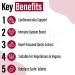 Kyolic - Odourless Aged Garlic Extract Everyday Support Extra Strength One-A-Day 1000mg 60 Veg Tablets - Kyolic Garlic Supplements Garlic Pills - Herbal Supplement for Wellness Support - Buy Online on GoSupps.com
