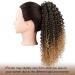 Human Hair Ponytail Hair Piece Short Kinky Curly Ponytail Extension Afro Synthetic Drawstring Ponytail Extensions Clip in Curly Fake Hair Pony Tail Hairpiece for Black Women Ponytail Hairpiece for W 1B-BUG - Buy Online on GoSupps.com