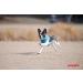 Puppia Dog Harness for Small & Medium Dogs - Soft & Colorful - Atani Training Harness in Purple XS - Dual Use as Puppy Dish - Buy Online on GoSupps.com