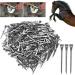 Nikou Horseshoe Nail - 250pcs E6 High Strength Steel Hoof Pin | Durable & Safe Tool Accessory for Horses - No Bending | International Shipping Available - Buy Online on GoSupps.com