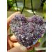 Natural Crystal Rough 1PC Lovely Rainbow Angel Aura Crazy Amethyst Clusters Natural Quartz Crystal Rough Stone for Gifts 70-100g - Buy Online on GoSupps.com