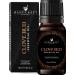 Handcraft Blends Clove Bud Essential Oil - 100% Pure and Natural - Premium Grade Essential Oil for Diffuser and Aromatherapy - 0.33 Fl Oz