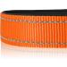 Joytale Reflective Dog Collar for Large Dogs - Orange (Pack of 1) | Durable & Stylish Pet Accessory - Buy Online on GoSupps.com