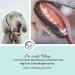 Annimally Dental Spray for Dogs 200ml | Fresh Breath & Tartar Prevention with Peppermint Sage & Propolis - Buy Online on GoSupps.com