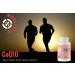 Wholistic CoQ10 - 60 softgels - Buy Online on GoSupps.com