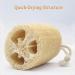 3 Pack Natural Loofah Sponges for Exfoliating Bath and Kitchen Cleaning - Buy Online on GoSupps.com