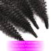 Seimainurs Springy Afro Twist Hair Marley Hair - 16 Inch (Pack of 3), Synthetic Crochet Braiding Hair Extension for Black Women - Buy Online on GoSupps.com