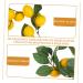 Zerodeko 4 Pcs Simulation Lemon Rattan Garland Decor Plant Flower Embellishments Front Door Wreath Wedding Supplies Artificial Flower Spring Front Door Adornment Summer Plastic Green Leaves Yellowx2pcs 100x13cmx2pcs - Buy Online on GoSupps.com
