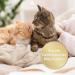 Felisept Family Comfort Refill Bottle 45ml - Natural Catnip Relaxation Agent for Multi-Cat Households | Sedative for Cats Without Pheromones - Buy Online on GoSupps.com