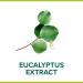 Palmolive Hygiene Plus Eucalyptus Handwash 6x300ml - Pack of 6 Eucalyptus Scented Handwash - Buy Online on GoSupps.com