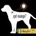 Happy Jack Sarcoptic Mange Medicine - 8 oz - Buy Online on GoSupps.com
