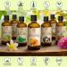 Calendula Oil Set 2 x 3.4 Fl Oz - 6.8 Fl Oz | 100% Pure & Natural Infused Marigold Oil for Skin, Nails, Hair, Face & Body - Almond Oil Base - Short Shelf Life - Buy Online on GoSupps.com