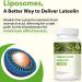 Valenameienes 500mg Liposomal Luteolin Supplement | Powerful Antioxidant | 60 Softgels - Buy Online on GoSupps.com
