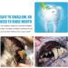 Dog Teeth Cleaning Toothpaste Fresh Breath Cat Dental Tooth Paste Designed to Help Prevent Tartar Plaque - Flavor Effective Soothing Oral Care Restore Luster for Doggy Puppy Cat Naysku - Buy Online on GoSupps.com