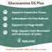 NaturVet Glucosamine DS Plus - Level 2 Moderate Care Soft Chews for Dogs, 120 Count (10.1 oz) - Buy Online on GoSupps.com