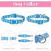 Tonyg-P 2-Piece Puppy Neck Strap & Leash Set | Adjustable Soft Nylon Dog Collar for Small to Medium Dogs - Buy Online on GoSupps.com