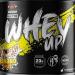 TWP Nutrition Platinum Series All The Whey Up Protein Powder Shake 23g Whey Protein Low Fat Low Carbs 2.1kg / 900g & 70/30 Servings Vegetarian Friendly (Banana Split 2.1kg) Banana Split 2.1kg - Buy Online on GoSupps.com