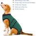 Kuoser Dog Recovery Suit for Male & Female Dogs - Breathable Post-Surgery Body Leakage Protection & Anti-Licking - Green Striped (1 Pack) - Buy Online on GoSupps.com