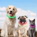 Auauy LED Light Neck Band Dog Collar - USB Rechargeable Adjustable Waterproof Luminous Safety Collar for Dogs & Cats - 5 Color Gradients - Buy Online on GoSupps.com