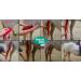 Vetkin Vetkintape Kinesiology Tape for Horses & Dogs - 6cm x 5m | Latex-Free T V-Certified 25%+ Stronger Adhesive | Ideal for Animal Therapy - Buy Online on GoSupps.com