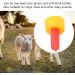 Buy MXGZ Red Silicone Sheep Pacifier - Safe for Orphaned Animals | International Shipping Available - Buy Online on GoSupps.com