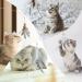 MWOOT 6pcs Cat Feather Toys with Bells Feather Toys Spinning Attachment for Indoor Cats and Kitten Catcher Replacement Feather Refills with Bells Feather Cat Toys for Playing Catcher and Exercising - Buy Online on GoSupps.com