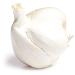 Christopher Ranch Garlic Elephant - Fresh and Flavorful Bulb (1 Each) - Buy Online on GoSupps.com