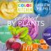 ColorKitchen Natural Food Colors - Multi-Color 10 Packets (0.088 oz each) | Vibrant & Safe - Buy Online on GoSupps.com