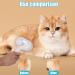 Spray Cat Brush 8x4.5 Inch Steamy Cat Brush with Water Spray 2 in 1 Cat Spray Comb Pet Hair Removal Comb Self Cleaning Grooming Brush for Pets Dogs Cats Shedding Removing Tangled - Buy Online on GoSupps.com