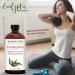 Majestic Pure Eucalyptus Essential Oil - 100% Pure Therapeutic Grade - 4 fl oz - Buy Online on GoSupps.com