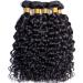 10A Brazilian Water Wave Human Hair Bundles with Closure - Natural Black Virgin Hair Extensions for Black Women (10 12 14 + 10 Closure) | Free Part Lace Closure Included - Buy Online on GoSupps.com