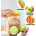 Cat Steam Brush Steamy Cat Brush - 3 in1 Pet Steam Brush Steam Brush for Dogs & Cats Multifunctional Cat Grooming Brush Pet Massage Comb Pet Hair Removal Comb (green) - Buy Online on GoSupps.com