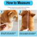 Supet Protective Collar for Pets - Gray Plastic Cone for Cats & Small Dogs (Neck 11.5-12.7 in) | Shop Internationally - Buy Online on GoSupps.com