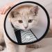 Adjustable Pet Cone Collar for Large Dogs | Lightweight Elizabethan Protective Collar (43.5-50CM) - Shop Now! - Buy Online on GoSupps.com