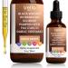 Vello Official Black Walnut Wormwood Gut Cleanse | Wormwood Black Walnut Clove Cleanse with Soursop Pumpkin Seed PAU D'arco Garlic Oregano | Gentle Gut Cleanse - 2 OZ (1 Bottle)