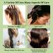 Fengyang Rosemary Oil for Hair Growth | Pure Rosemary Essential Oil for Thicker Hair - Buy Online on GoSupps.com